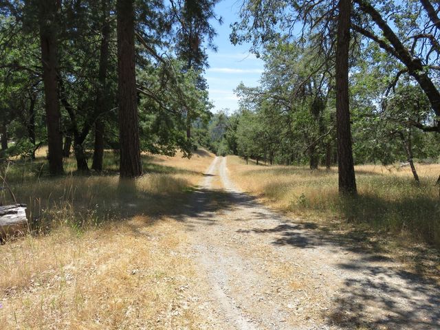 4426 Bald Mountain Road, West Point, CA 95255