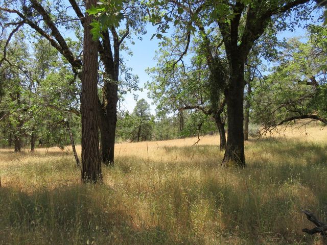 4426 Bald Mountain Road, West Point, CA 95255