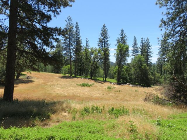 4426 Bald Mountain Road, West Point, CA 95255