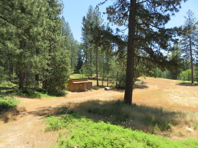 4426 Bald Mountain Road, West Point, CA 95255