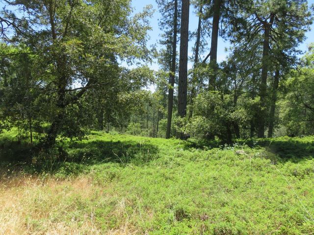 4426 Bald Mountain Road, West Point, CA 95255