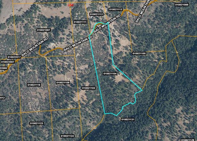 4426 Bald Mountain Road, West Point, CA 95255