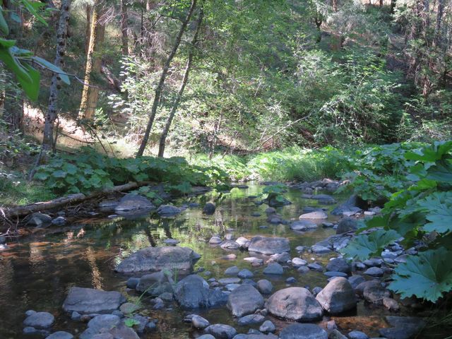 4426 Bald Mountain Road, West Point, CA 95255