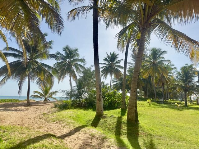 968 KM 1.8 CAMINO LAS PICUAS 8, Rio Grande, PR 00745