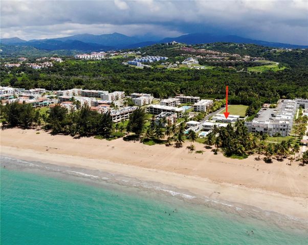 968 KM 1.8 CAMINO LAS PICUAS 8, Rio Grande, PR 00745