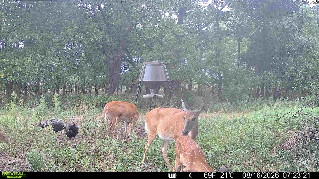 000 E Deer Dr
