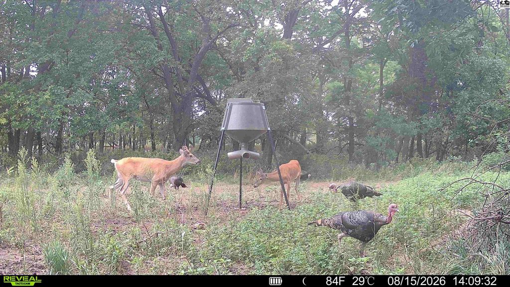 000 E Deer Dr