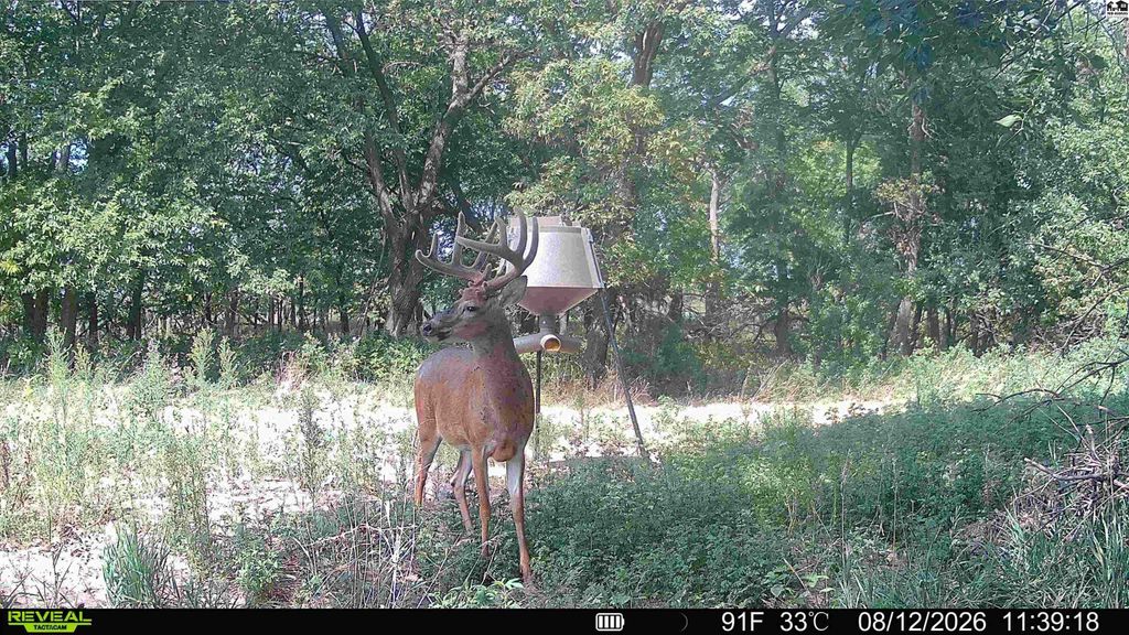 000 E Deer Dr