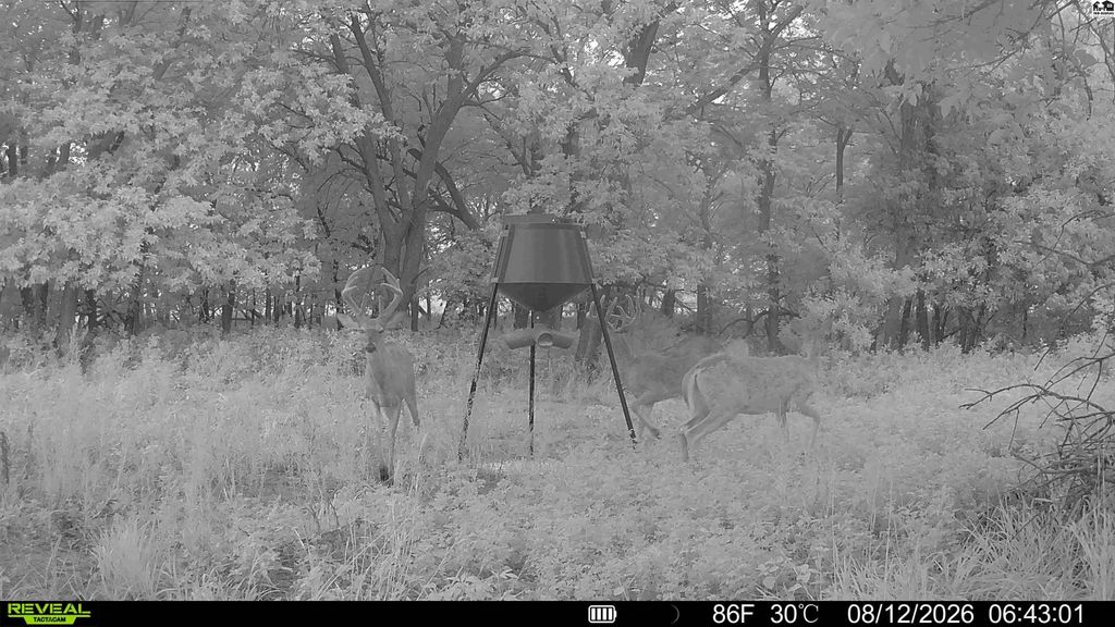 000 E Deer Dr