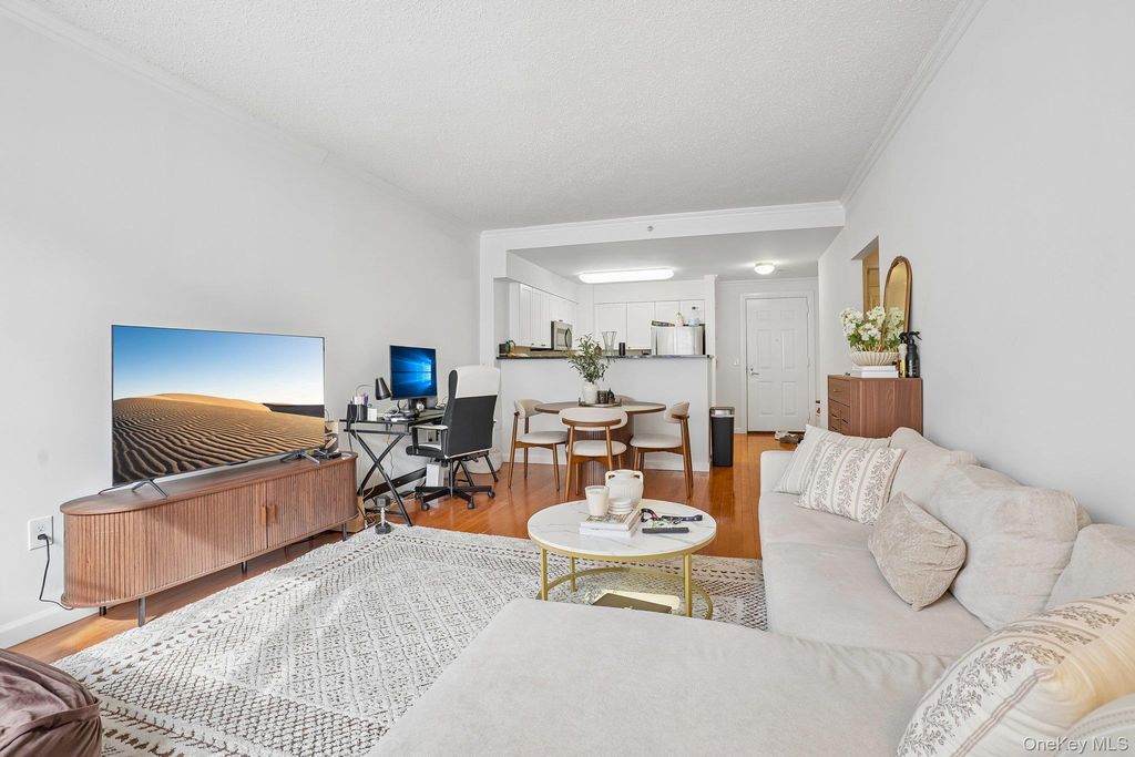 300 Mamaroneck Avenue 421, White Plains, NY 10605 — photo 4