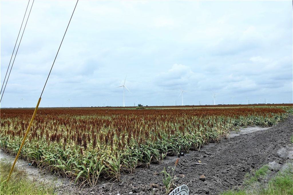 0000 Hwy 181 CR 1612 CR 3567, Taft, TX 78390 — photo 3