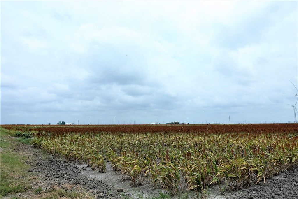 0000 Hwy 181 CR 1612 CR 3567, Taft, TX 78390 — photo 5