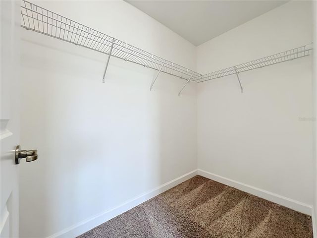 11143 SYCAMORE WOODS DRIVE, Orlando, FL 32832