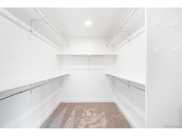 8754 El Diente St, Arvada, CO 80007