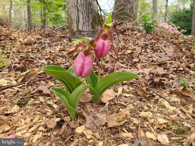 3259 S UNION RD, Vineland, NJ 08361