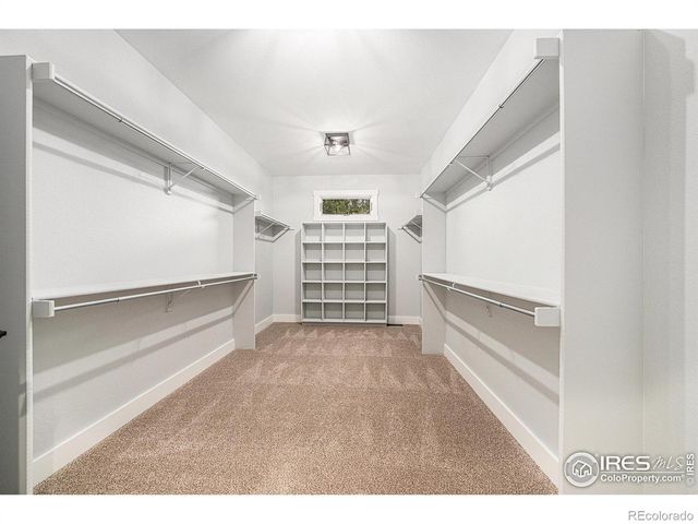 796 Abrams Way, Loveland, CO 80537