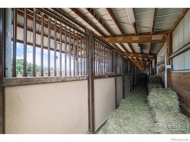 796 Abrams Way, Loveland, CO 80537