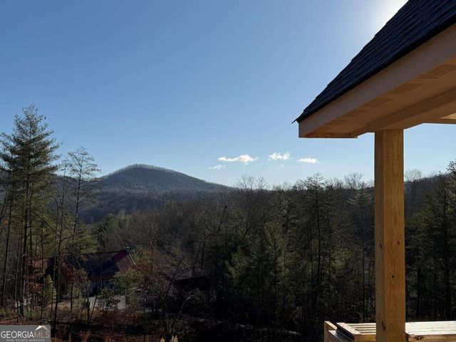 20B Twin Springs Road, Mineral Bluff, GA 30559