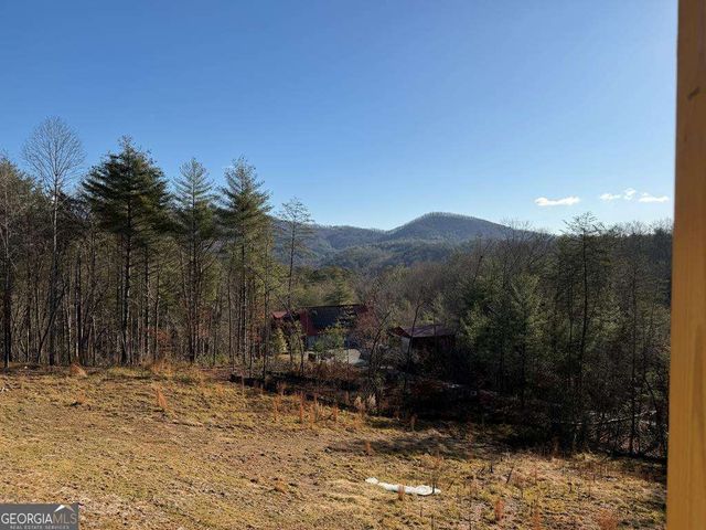 20B Twin Springs Road, Mineral Bluff, GA 30559