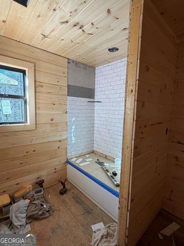 20B Twin Springs Road, Mineral Bluff, GA 30559