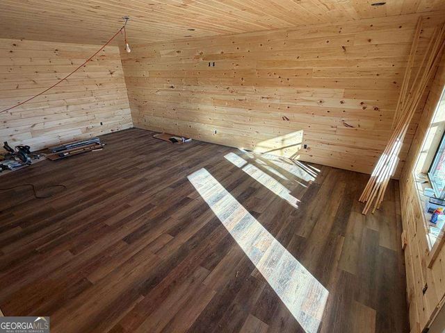 20B Twin Springs Road, Mineral Bluff, GA 30559