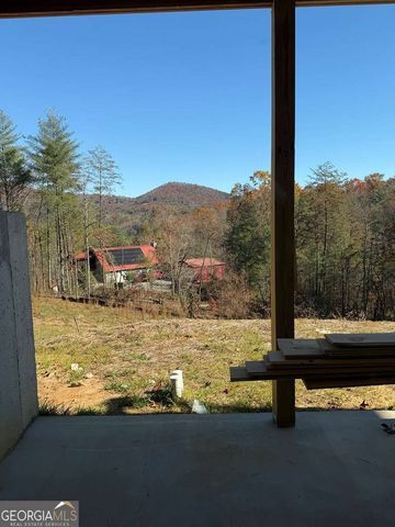 20B Twin Springs Road, Mineral Bluff, GA 30559