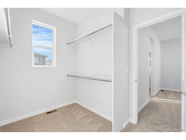 12124 Octave Ave, Lone Tree, CO 80134