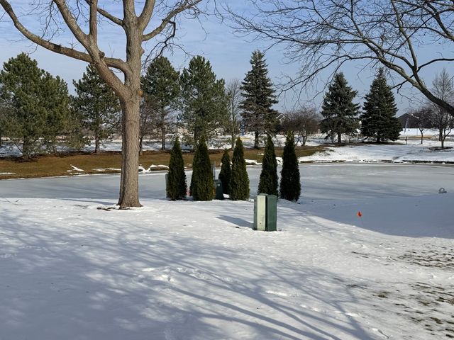 2305 SANDY CREEK Drive, Algonquin, IL 60102