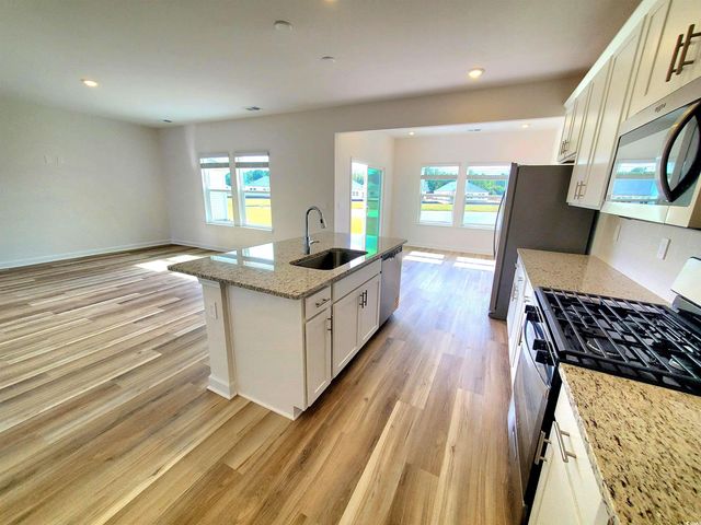 1542 Regal Fern Way, Longs, SC 29568