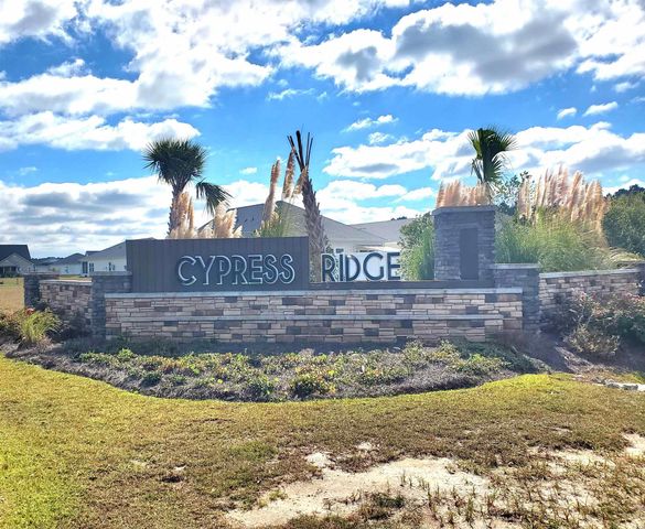 1542 Regal Fern Way, Longs, SC 29568