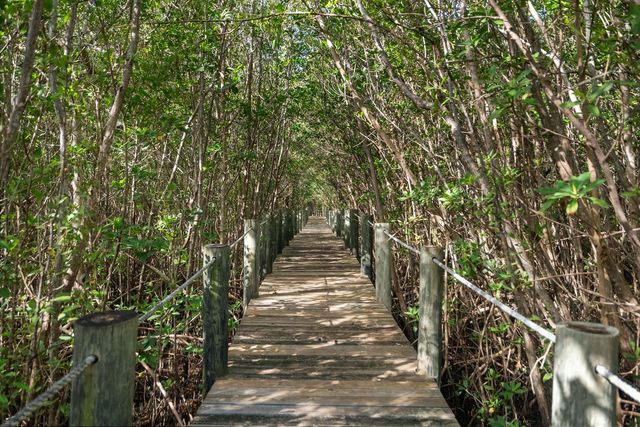 10187 S Ocean Drive 1, Jensen Beach, FL 34957