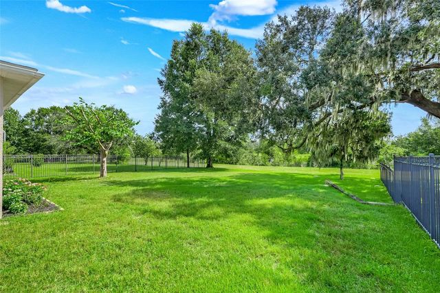 33519 TERRAGONA DRIVE, Sorrento, FL 32776