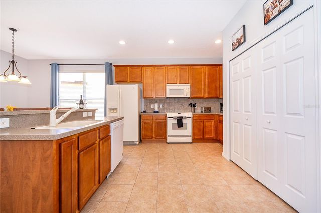 171 ORANGE COSMOS BOULEVARD, Davenport, FL 33837