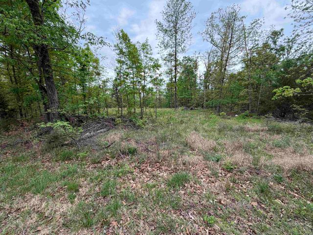 303 Mother Lode Drive, Horseshoe Bend, AR 72512