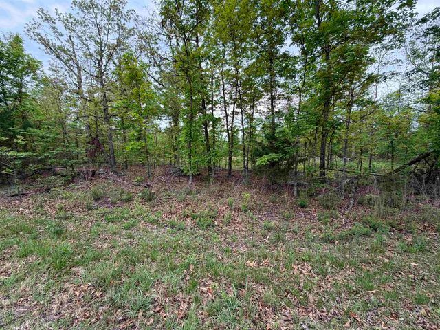 303 Mother Lode Drive, Horseshoe Bend, AR 72512