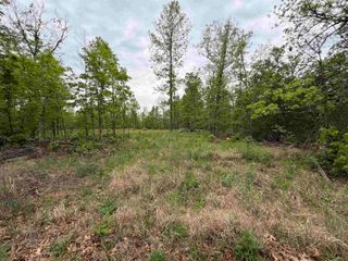 303 Mother Lode Drive, Horseshoe Bend, AR 72512