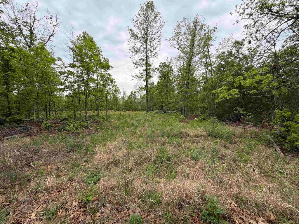 303 Mother Lode Drive, Horseshoe Bend, AR 72512
