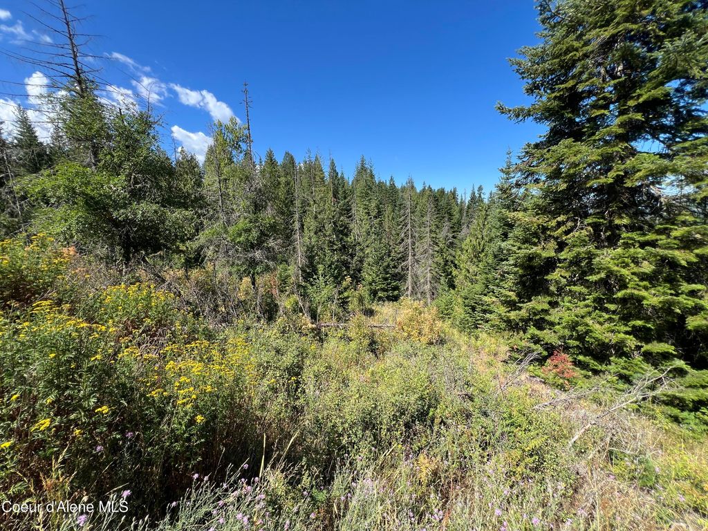 10 Kingston Way, Kingston, ID 83839 photo 2