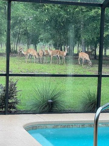 21949 SW 85TH LOOP, Dunnellon, FL 34431