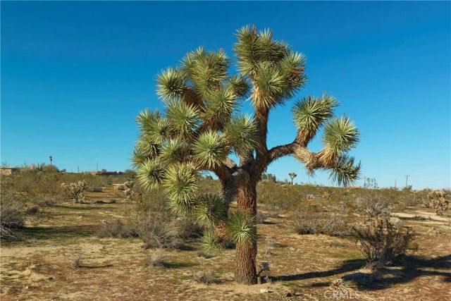 4084 Ocean, Joshua Tree, CA 92252
