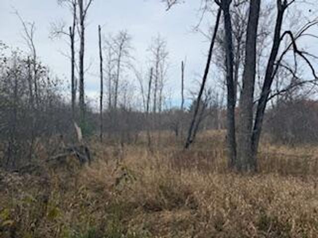 438 E 32nd Street, Baldwin, MI 49304