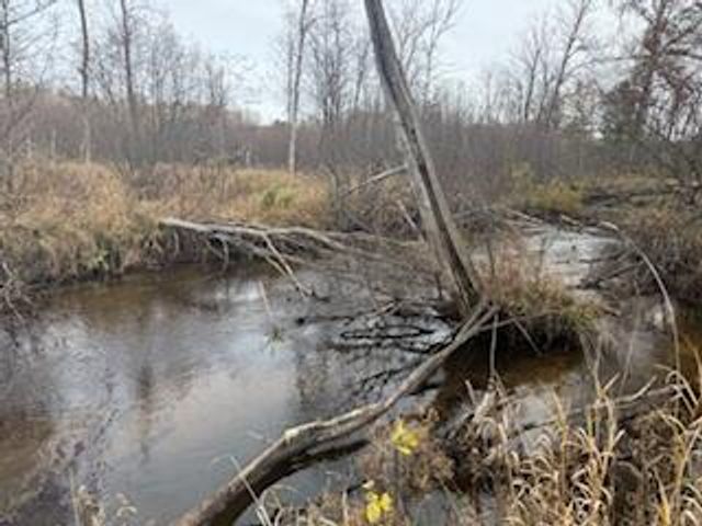 438 E 32nd Street, Baldwin, MI 49304