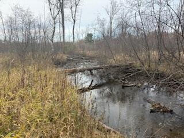 438 E 32nd Street, Baldwin, MI 49304