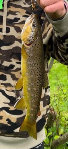 438 E 32nd Street, Baldwin, MI 49304