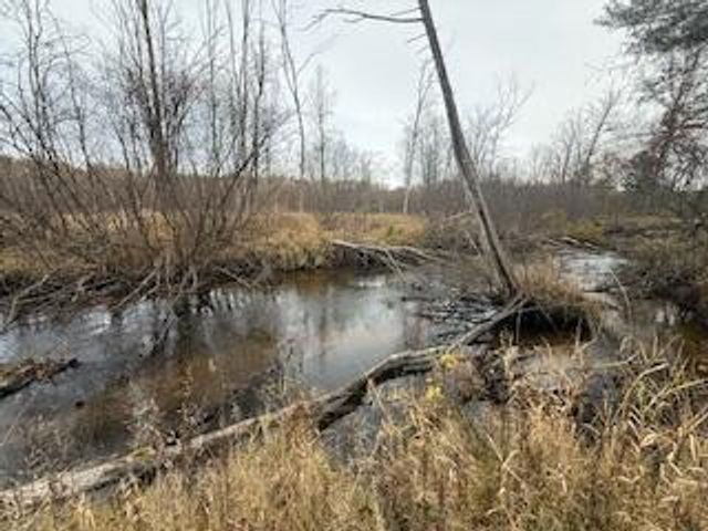 438 E 32nd Street, Baldwin, MI 49304