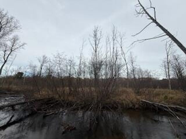 438 E 32nd Street, Baldwin, MI 49304