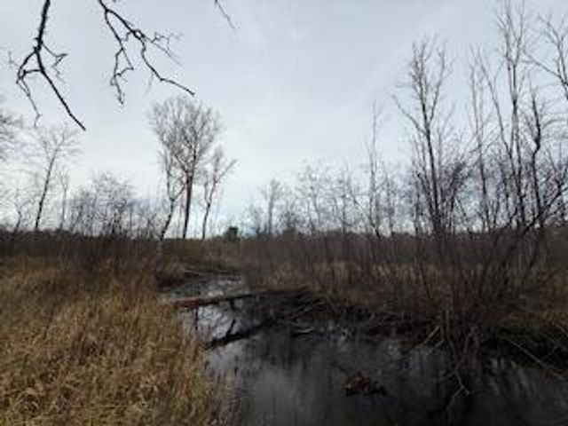 438 E 32nd Street, Baldwin, MI 49304