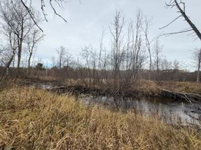 438 E 32nd Street, Baldwin, MI 49304