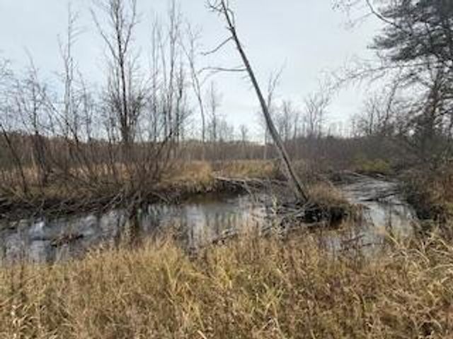 438 E 32nd Street, Baldwin, MI 49304