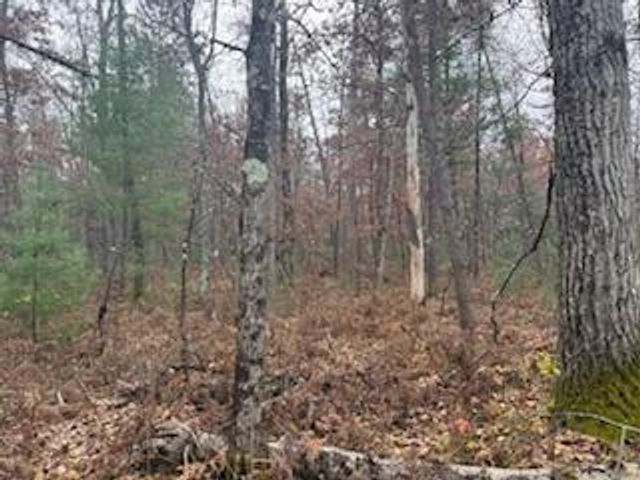 438 E 32nd Street, Baldwin, MI 49304